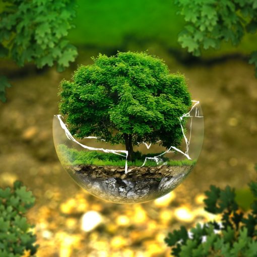 zöldellő fa üveggömbben a környezetvédő vállalkozás jelképeként
