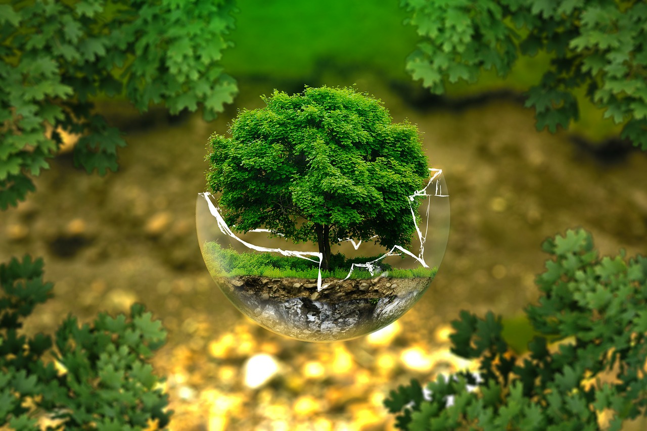 zöldellő fa üveggömbben a környezetvédő vállalkozás jelképeként